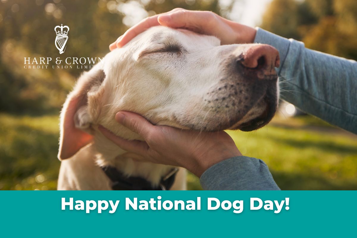 Happy National Dog Day! Credit Union news news Harp and Crown